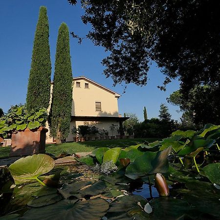 Agriturismo Le Vallette 비보나 외부 사진