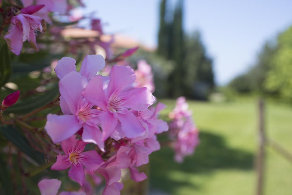 Agriturismo Le Vallette 비보나 외부 사진
