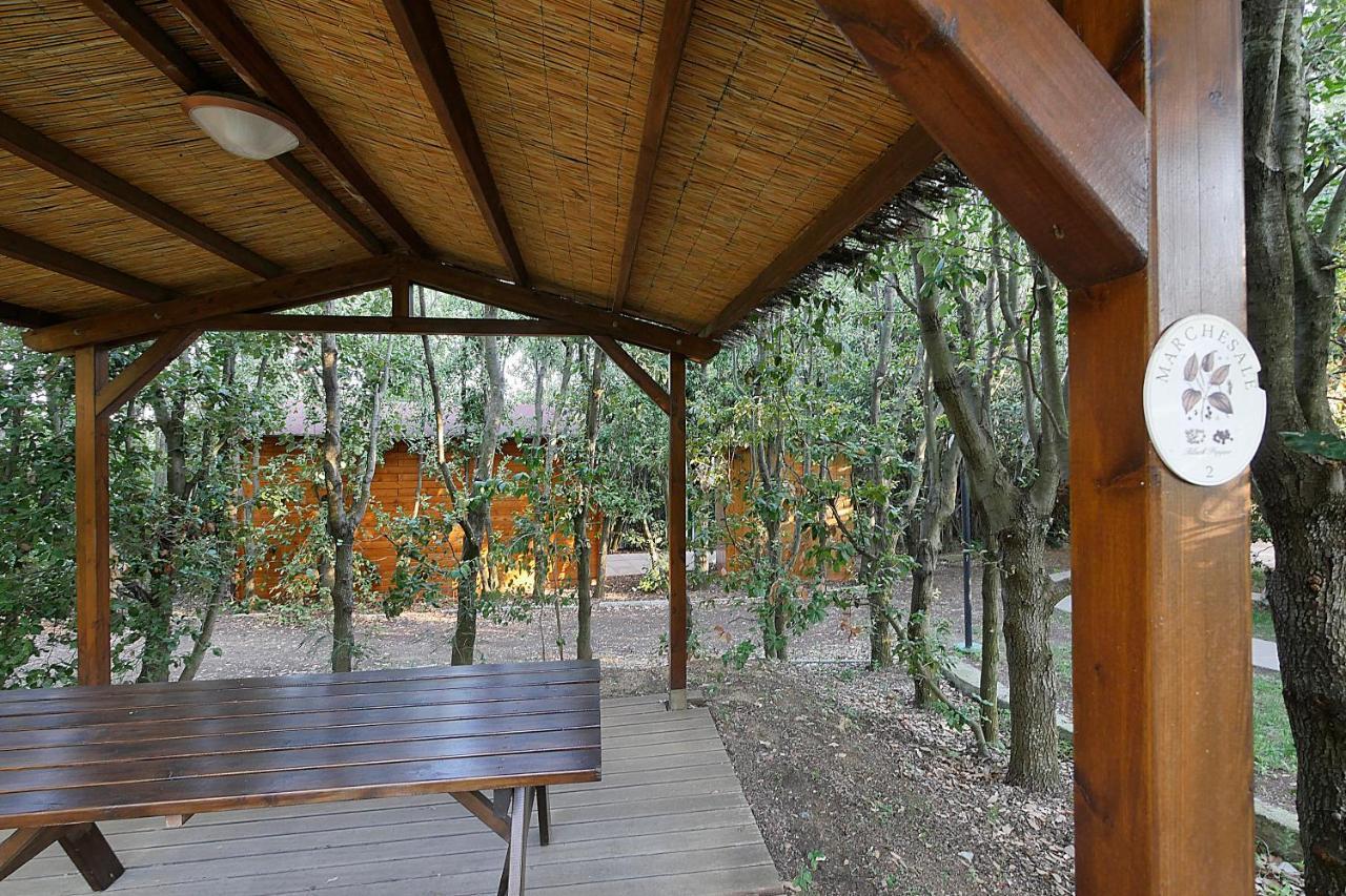Agriturismo Le Vallette 비보나 외부 사진