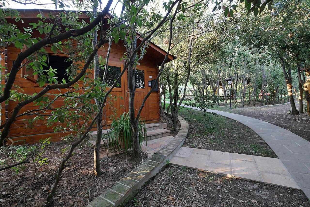 Agriturismo Le Vallette 비보나 외부 사진