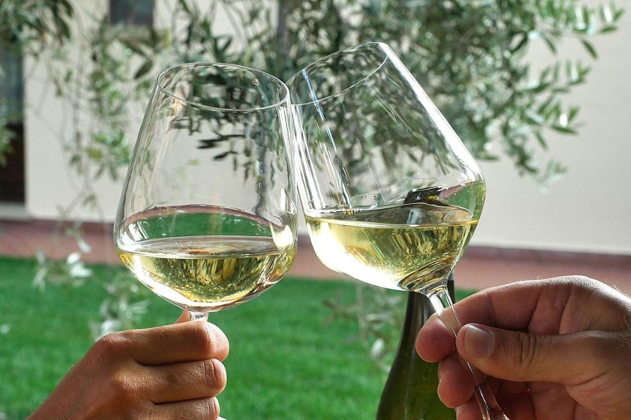 Agriturismo Le Vallette 비보나 외부 사진